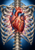 Red anatomical heart with blue and red vessels centered inside a shaded rib cage on a pale-blue background with dark corners.
