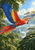 Scarlet macaw flying diagonally above a forest canopy, framed by dark green leaves against a bright sky.