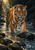 Orange-and-black tiger wading through a rocky forest stream and placing one forepaw on a dark rock.