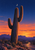 A towering ribbed saguaro cactus under a crescent moon, with a winding road, rocky scrub, and distant mesas at sunset.
