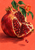 A glossy split pomegranate with ruby seeds, leafy branch, coral-pink blossom, and one falling seed against a coral background.