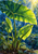 Broad rain-beaded green leaves glow in sunlight above smaller leaves against a deep blue-green garden background.