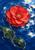 Layered crimson camellia floating on deep blue water, surrounded by pale circular ripples, leaves, and droplets.