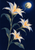 Three pale star-shaped flowers with orange centers and curved leaves branch beneath a bright round pod against deep blue.