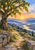 A fruit-laden pear tree overhangs a stone terrace, empty bench, and winding path above a river valley at sunrise.