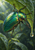 Glossy iridescent green beetle clinging to a wet leaf, with a clear droplet hanging below against blurred forest-green foliage.