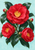 Three red camellia-like flowers with yellow stamens among glossy dark green leaves and buds on a pale aqua background.
