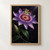 Detailed passionflower with lavender petals and vivid pink, purple and coral filaments against a dark garden, with glossy leaves and a closed bud.; frame shown for styling only