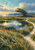 Painterly coastal meadow with a winding sandy path beside a reflective pool, a leaning flowering tree, and seabirds in a cloudy sky.