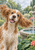 A wet tan-and-white, long-eared dog shakes off water beside a stone fountain in a leafy garden.
