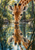 A giraffe drinks from a forest pool as its face and neck reflect in rippled teal water between dark reeds.