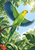 A green parakeet with a yellow face and blue-green wings spreads its wings above a branch amid tropical foliage and a red flower.