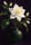 White flower with golden stamens, dark-green leaves and buds arranged in a ceramic vase against a dark background.