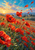 Scarlet poppies and windblown petals in a meadow beneath a turquoise sky, with a small bee and distant cypress trees.