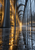 A low-perspective view down a glass-and-steel arcade with repeating arches, amber light in the distance and rain-wet reflections.