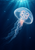 Translucent moon jelly with pink inner forms drifting through deep blue water beneath turquoise light rays.