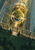 Overhead view of a glass greenhouse surrounding a circular courtyard with a central tree, blue pool and pale paths in golden light.