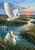 White wading bird with spread wings lifting off above marsh water, framed by reeds under a small orange sunrise.