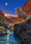 Bighorn sheep standing on a dark rocky ledge beside a stream beneath a moon over desert cliffs.