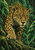 A front-facing jaguar with golden eyes and a rosetted coat steps through tropical rain and foliage, one forepaw on a mossy root.