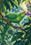 Green parrot reaching toward purple flowers on a branch amid dense tropical foliage and blue sky.
