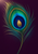 Iridescent peacock feather with an oval emerald, teal, blue and gold eye against a deep plum background.