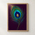 Iridescent peacock feather with an oval emerald, teal, blue and gold eye against a deep plum background.; frame shown for styling only