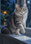 Long-haired silver tabby cat with amber eyes on a windowsill, looking toward the viewer as rain falls over a garden with a glowing orange lantern.