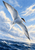 White-and-gray tern-like seabird banking above dark blue water beneath a blue sky with pale clouds.