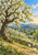 White-blossomed tree scattering petals over a basket beside a stone wall in a sunlit orchard with distant hills.