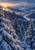 Snow-covered spruce trees frame a misty mountain valley and winding clearing beneath a glowing sunrise sky.