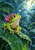 Bright green frog in a magenta hood crouching on a tropical leaf beneath a large suspended raindrop in heavy rain.
