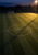Empty football pitch at dusk seen from above, with a center circle, small ball, distant goal, trees, and floodlights.