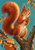 Red-orange squirrel holding an acorn on a forked branch, with a large curling tail and autumn leaves against teal.