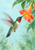 Ruby-throated hummingbird hovering with its bill in a hanging coral-orange trumpet flower against pale aqua, with green leaves.