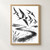 Five monochrome swallows fly above an S-shaped river, with reeds at the lower left and a distant treeline.; frame shown for styling only