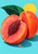 Whole and cut coral-red peach with exposed dark pit, green leaf, yellow sun disc, and two droplets on a turquoise background.