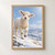 Fluffy young lamb with one foreleg lifted, standing in falling snow among grasses and distant hills.; frame shown for styling only