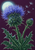 Blue-violet thistle bloom and unopened bud with spiky green foliage against plum and a pale cyan glow.