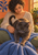 Charcoal-gray cat kneading a blue knitted blanket on a seated adult’s lap in warm light, with an orange wall and cobalt plant motif.