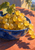 Golden grapes in a cobalt-blue bowl on a coral tabletop, framed by green vine leaves and strong shadows.