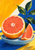 Cut coral-pink grapefruit half and upright wedge on a pale-blue ceramic dish with a leafy sprig against yellow, white, and blue fields.
