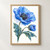 Large blue poppy with a dark center, smaller half-closed bloom, blue-green leaves and a droplet hanging from a leaf tip.; frame shown for styling only