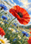 Large red poppy among blue cornflowers and white daisies in a sunlit field.