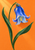 Single drooping bluebell with cobalt and lavender petals and two sweeping green leaves against an orange background.