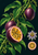A passionfruit vine with whole purple fruits and a split fruit showing golden seeds, surrounded by lobed leaves, tendrils, a flower, and a cross-section.