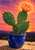 Flowering prickly pear cactus with a coral bloom in a glossy ultramarine-blue pot on a stone ledge at sunset.