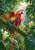 Scarlet macaw with a wide-spread wing perched on a moss-covered branch among tropical leaves and white blossoms beneath a bright canopy opening.