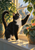 Black-and-white tuxedo cat reaching toward green foliage on a sunny windowsill, with a bluebird beyond rain-streaked glass.
