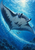 Large manta ray with spread wings gliding beneath sunbeams, with two small fish and bubbles in blue water.